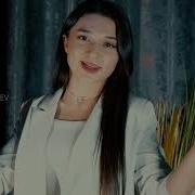 Назлу Яр