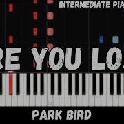 Are You Lost Piano