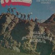 Виа Гунеш Диск Гигант 1980 Г