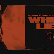 Tujamo White Lies