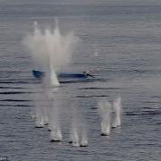 Нападение Сомалийсих Пиратов На Российкие И Американские Корабли 2018 Часть 1
