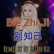 Dj Bie Zhi Ji Remix