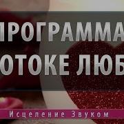 Программа В Потоке Любви Школа Космомагов