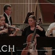 Naxos Concerto For 2 Violins In D Minor Bwv 1043 Ii Largo Ma Non Tanto