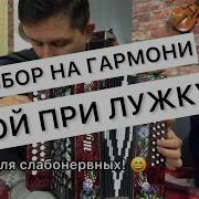 Ой При Лужку При Лужке Под Гармонь