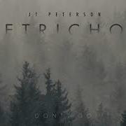 Jt Peterson Don T Go