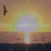 Sunset Original Mix