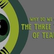 The Meaning Of Tears
