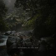 Aiyo Shadows In The Sun