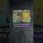 Тгк Lonovoff