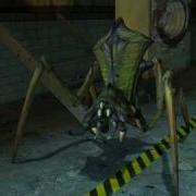 Half Life 2 Sounds Antlion