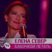 Минус Песни Елены Север Бабочкой Летать Скачать Бесплатно