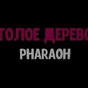 Pharaoh Голое Дерево Минус