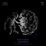David Phoenix Neural Partitioning Original Mix