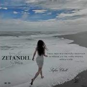 Safin Chill Mix 20 Zetandel Part 1 Chillout Mix 2020