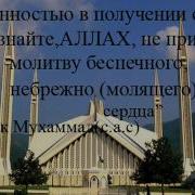 Зияд Пател Нашид