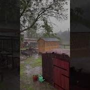 Во Дворе