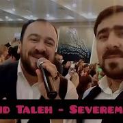 Seyyid Taleh Boradigahi Severem Seni