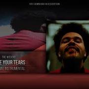 The Weeknd Save Your Tears Instrumental