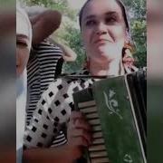 Песни Под Гармошку Чеченские