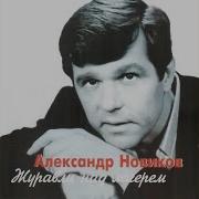 Журавли Над Лагерем
