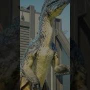 Megaraptor