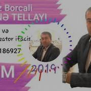 Araz Borcali