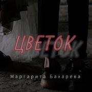 Маргарита Бахарева Песня Цветок