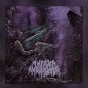 Infant Annihilator Full Album