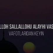 Muhabbat Bu