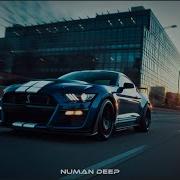 Numan Deep Elevation Original Mix