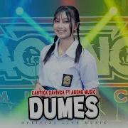 Cantika Davinca