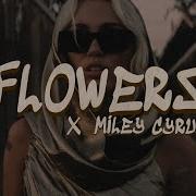 Flowers Drip Dollar