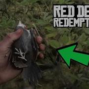 Red Dead Redemption 2 Как Найти Дятла