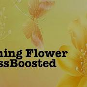 Morning Flower Bassboosted