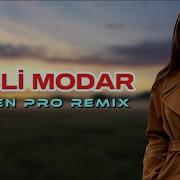 Misli Modar