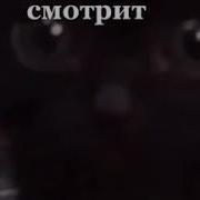 Это Максимка Он В Компьютер Смотрит