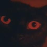 Epsyle Couture Slowed