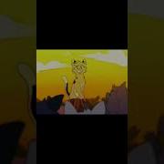Leopardstar