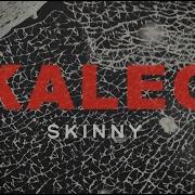 Skinny Kaleo