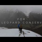 Kyrgyz Trap