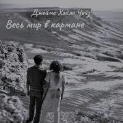 Аудиокнига Чейз Весь Мир В Кармане Часть3 3