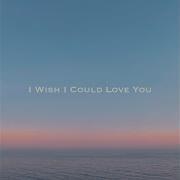 I Wish I Could Love You