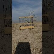 Овози Саба Барои Йодгириш