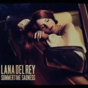 Summertime Sadness Todd Terry Remix