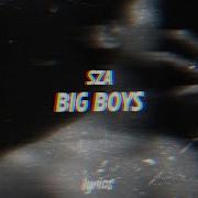 I Went A Big Boy Remix