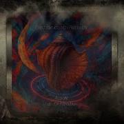 Fuzion Law Of Attraction Original Mix