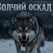 Волчий Оскал