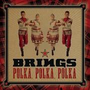 Polka Polka Polka