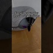 Replay Meme Slow